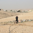 A bedouin woman walks to the main source of water for her village