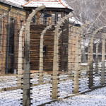 Barbed wires surround the cabins of the Auschwitz-Birkenau Concentration Camp. Photo courtesy of Flash90/Isaac Harari
